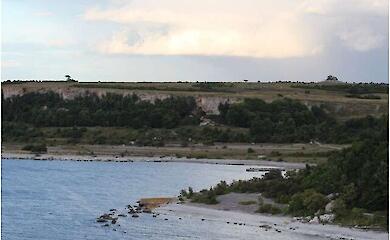 На крихітному острові в Балтиці знайшли вовків, яких туди могли завезти тільки люди. Що це означає?