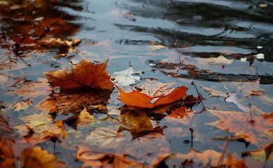 Синоптики розповіли, якою буде погода в суботу, 29 листопада