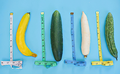 Навіщо взагалі еволюції знадобився пеніс і чому до людей він такий "простий"?