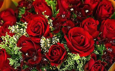 У Раді з'ясовували, що відбувається з контрабандою квітів в Україну