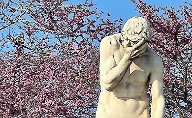 Раскаяние во время суда: как решают, действительно ли преступник сожалеет