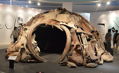 Укриття з мамонтових кісток: дослідження розкрило, як виживали люди в Україні в найхолодніші часи