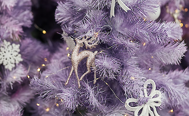 Названо найкраще європейське місто для новорічних гулянь