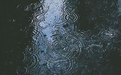 14 грудня майже по всій Україні будуть опади