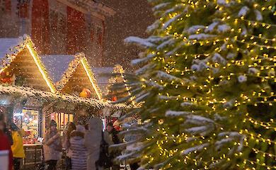 Теракту на різдвяному ярмарку вдалося запобігти: у Баварії затримано групу підозрюваних