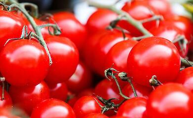 В Україні перед святами різко подорожчали помідори