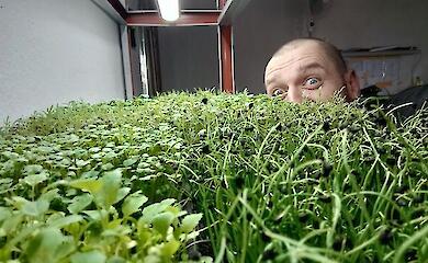 &laquo;Щоранку спостерігаєш за тим, як картинка змінюється&raquo;: ветеран з Хмельниччини вирощує мікрозелень та їстівні квіти