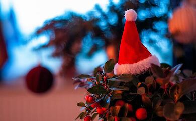 У Німеччині президент згадав про Україну в різдвяному привітанні