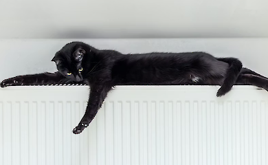 Стало відомо, коли жителям Києва та області повернуть тепло