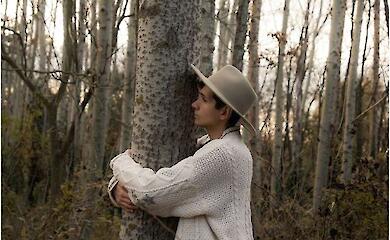 Чому обійми з деревами стали популярними у молодих китайців