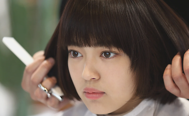 Французький та італійський боб: які варіанти будуть актуальні у 2026 році