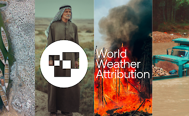 Жара, наводнения и пожары: почему 2025 стал климатическим переломом