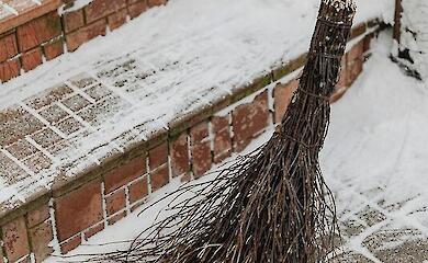 Служба занятости рассказала о преимуществах общественно полезной деятельности, особенно на прифронтовых территориях