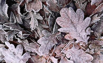 Прогноз погоды на неделю: Украину накроют крепкие морозы