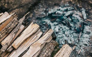 Какова цена кубометра дров в январе 2026 года