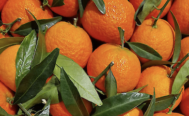 Де у Києві пройдуть продуктові ярмарки: адреси та дати