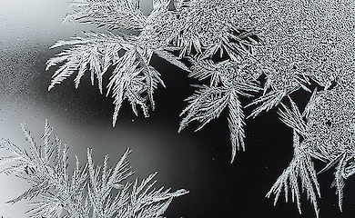 Погода в Києві 20 січня: морозно, без опадів