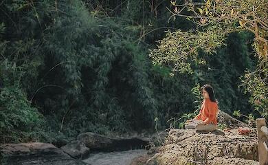 Стабільний слід пам'яті: вчені з'ясували, що не зникає навіть під час забування