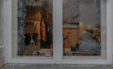 МОЗ дало поради, як уникнути переохолодження і коли викликати "швидку"