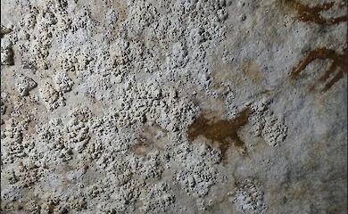 Учені датували стародавній відбиток руки віком майже 68 тисяч років