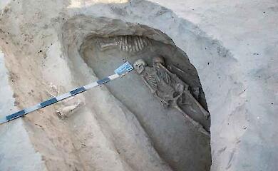 ДНК не знадобилося - білки в зубному камені розповіли, що їли скіфи