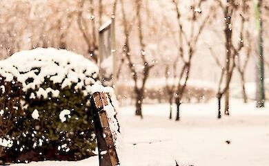 Надвигается новая волна сильного холода уже в начале февраля, рассказала синоптик