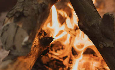 Кому з українців можна безкоштовно отримати дрова