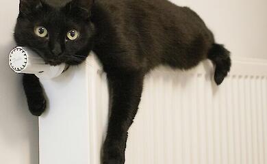 Якщо не було тепла в будинку, то платити за опалення не треба буде - Зеленський