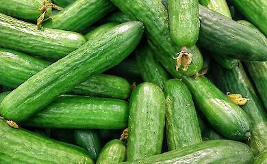 В Украине выросли цены на огурцы