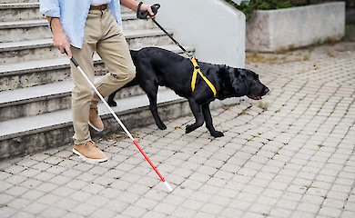 Neuralink Маска готує революцію для сліпих: клінічні випробування імплантату Blindsight стартують 2026 року