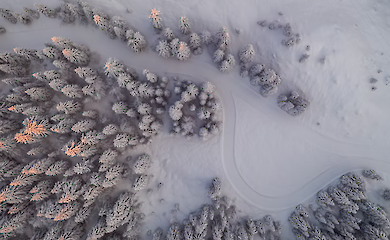 Сніг на смак: чи безпечно куштувати сніжинки взимку