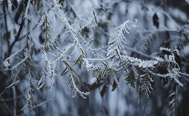 Последний раз такие морозы были 20 лет назад: погода в Украине в начале февраля