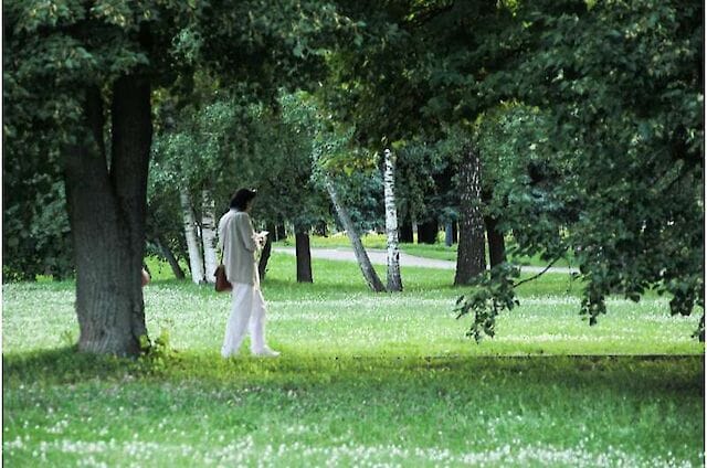 Науковці з'ясували, як природа і фізична активність разом покращують психічне здоров'я