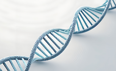 Чому однаковий режим дня підходить не всім - пояснення вчених