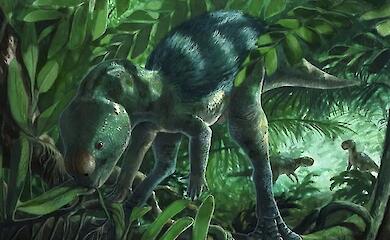 В Испании нашли крошечного динозавра