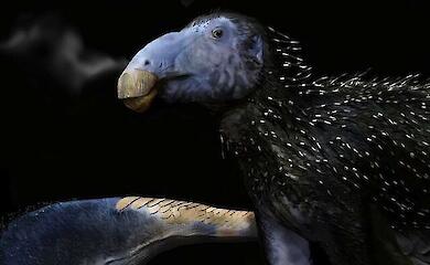 У Китаї виявили нового динозавра з унікальними пустотілими шипами - таких у динозаврів ще не знаходили