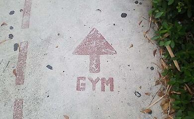 Учителі: двох годин фізкультури на тиждень замало - рух має бути щодня