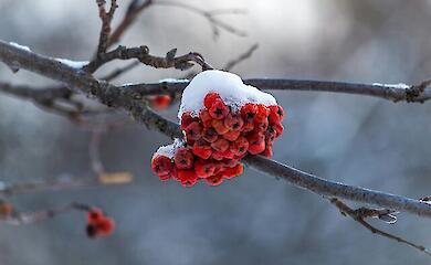 Уже идет потепление в Украину. Дождались