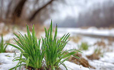 До +5&deg;С і місцями ожеледиця: прогноз погоди у Києві та області на 12 лютого