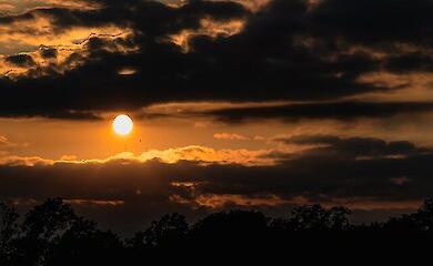 Стає все тепліше й тепліше. Прогноз погоди на 13 лютого