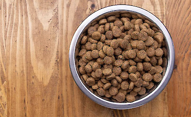 Сухий корм для котів - склад, переваги та поради з вибору