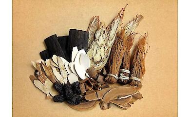 Що таке "Панк-велнес" і чому це так популярно в Китаї