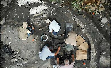  Найбільша знахідка за десятиліття: у Коста-Ріці розкопали кістки мастодонта і гігантського лінивця