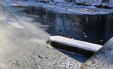 Погода на 16 лютого: сильні опади вночі, вдень - менше снігу та дощу, але вітер і похолодання збережуться