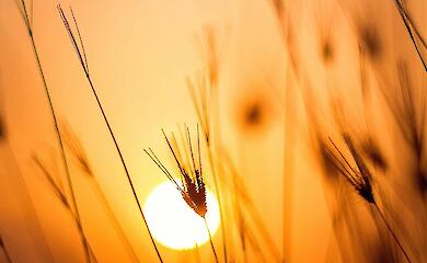 Погода на початку весни в Україні буде в межах середньостатистичної норми, а в деяких регіонах - вищою