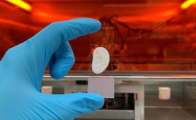 Учені надрукували вушний хрящ із клітин людини