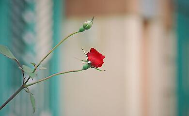 Якою буде погода на стику лютого і березня - синоптик дала прогноз 