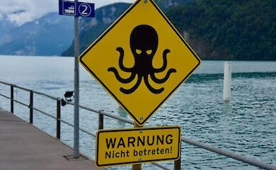 Якщо людей не стане, хто захопить планету? Учені дали відповідь