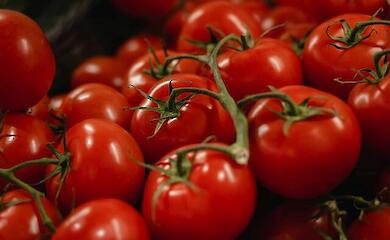 Які сорти помідорів сіяти в березні, щоб зібрати врожай у травні