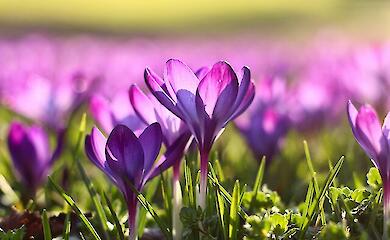 У столиці знизиться температура